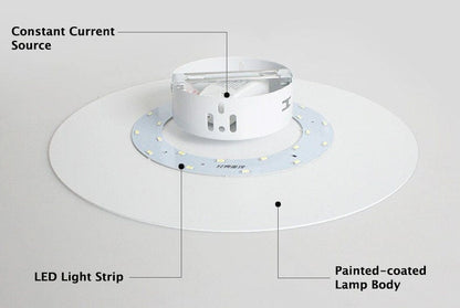 Nordic LED Wall Light in Round Disc Shape